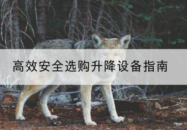 宝清升降货梯厂家推荐-*安全选购升降设备指南