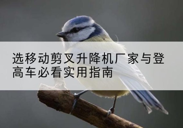 宝清电动升降机厂家-选移动剪叉升降机厂家与登高车必看实用指南
