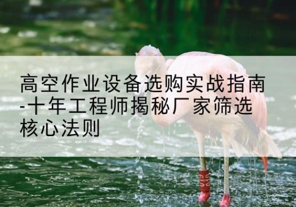 宝清剪叉式升降机厂家-高空作业设备选购实战指南-十年工程师揭秘厂家筛选核心法则